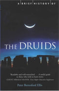 A Brief History of the Druids (Brief Histories) cover image
